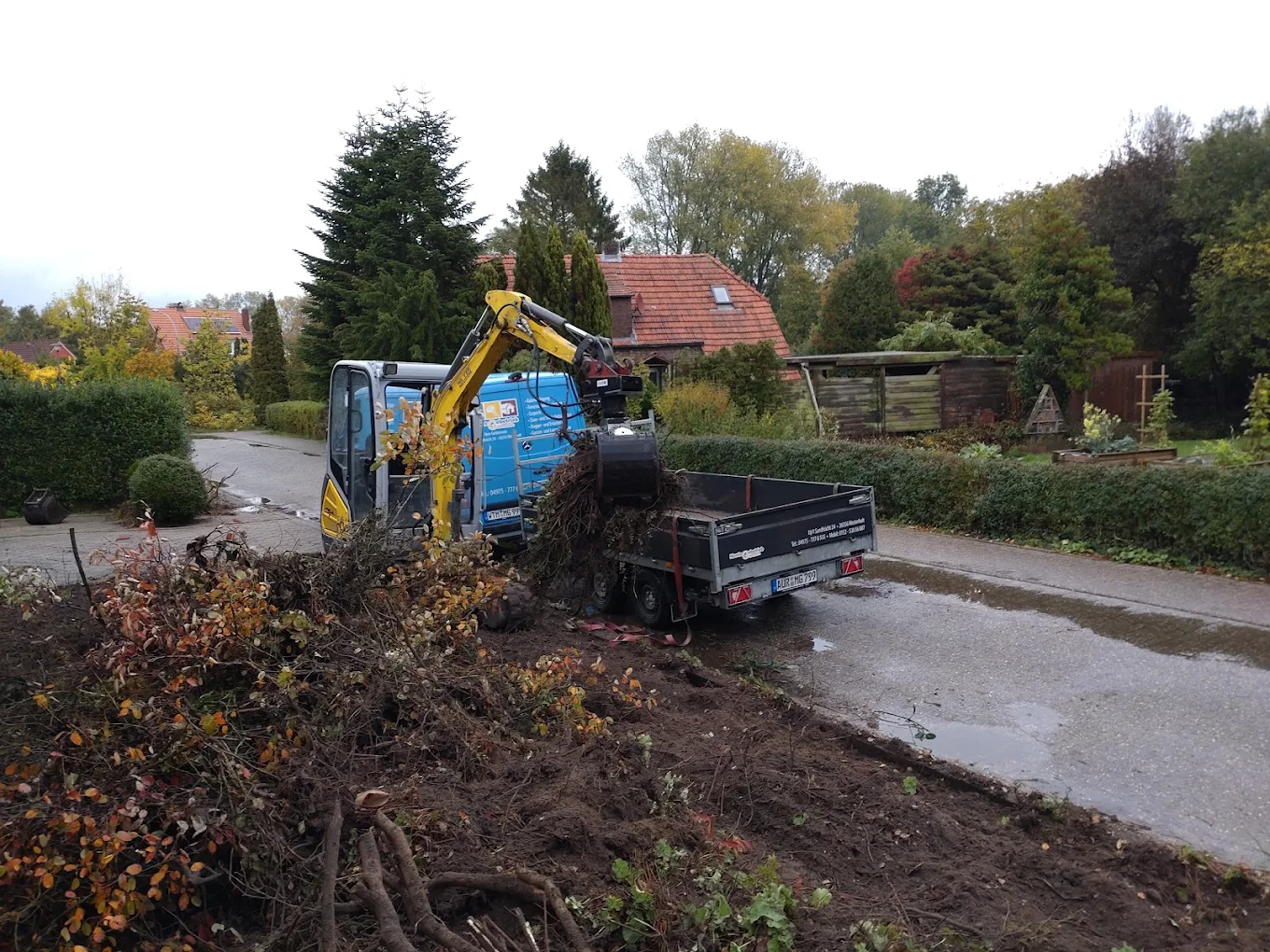Minibagger räumt Wurzelwerk und Äste auf einen Anhänger